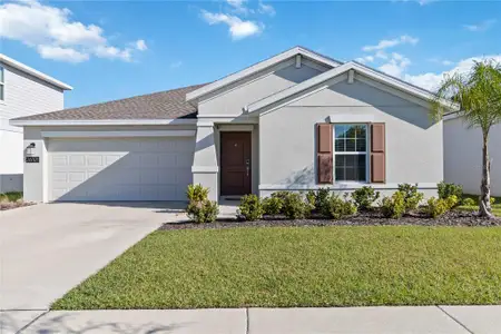 New construction Single-Family house 26101 Bristleleaf Ct, Leesburg, FL 34748 Dover- photo 0