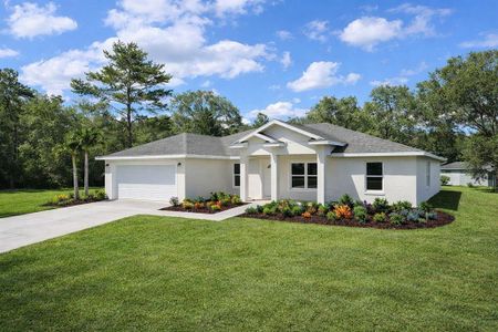 New construction Single-Family house 8833 N Spartan Dr, Citrus Springs, FL 34433 - image