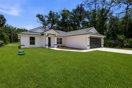 New construction Single-Family house 3 Sequoia Drive Trce, Ocklawaha, FL 32179 - image