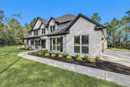 New construction Single-Family house 8604 Trinity Pines Ct, Montgomery, TX 77316 - image