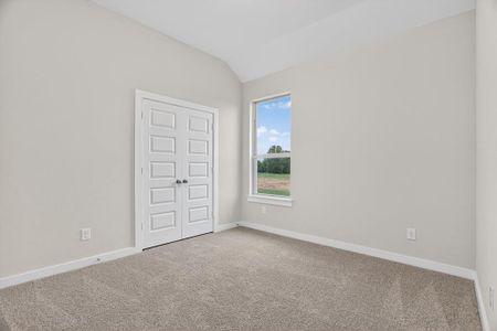 New construction Single-Family house 321 Skeen Peak, Springtown, TX 76082 - image 19