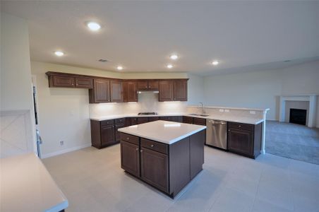 New construction Single-Family house 3514 Purlin St, League City, TX 77539 - image 10