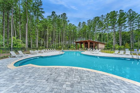 New construction Single-Family house 476 Rowley Lane, Summerville, SC 29486 Nantahala- photo 47 47