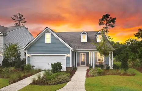 New construction Single-Family house 1019 Island Preserve Rd, Johns Island, SC 29455 plan Martin Ray - image