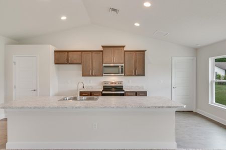 Hidden Lake by Adams Homes in Ocala - photo 21 21