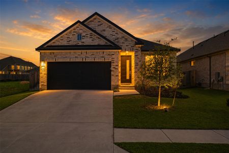 New construction Single-Family house 12528 Cockatoo Xing, Manor, TX 78653 - image