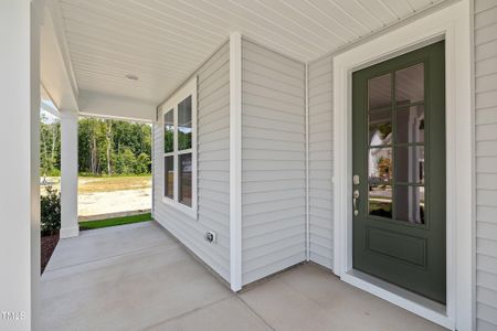 New construction Single-Family house 9168 Dupree Meadow Dr, Unit 15, Angier, NC 27501 - image 3