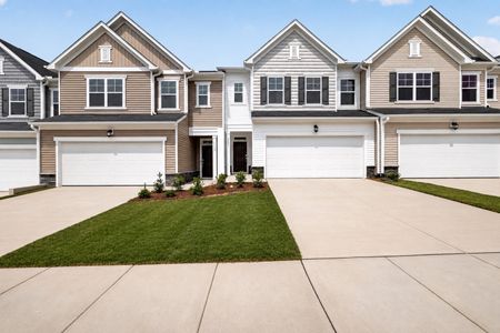 New construction Multi-Family house 1117 Barred Owl Trl, Rolesville, NC 27587 plan Coleman - image