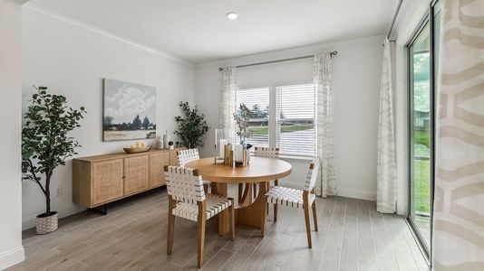 New construction Single-Family house 60 Good Harbor Pl, St. Augustine, FL 32092 plan Medallion - image