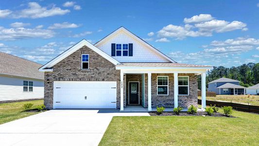 New construction Single-Family house 177 Ruby Prince Rd, Gilbert, SC 29054 plan Dover - image