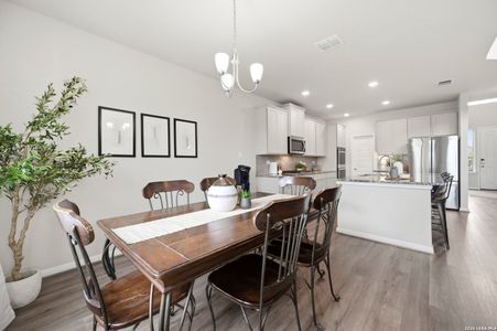New construction Single-Family house 1639 Dunvegan Park, Bulverde, TX 78163 - image 10