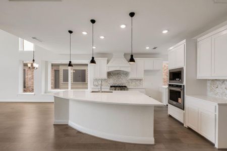 New construction Single-Family house 2428 Bussey Dr, Irving, TX 75062 Grand Martinique- photo 4 4