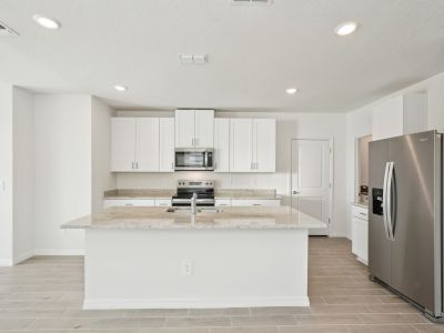 New construction Single-Family house 14029 Crutchfield Ct, Parrish, FL 34219 Yellowstone- photo 3 3