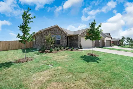 New construction Single-Family house 3800 Arrowchop Dr, Caddo Mills, TX 75135 plan Cottonwood | Fox Landing - image