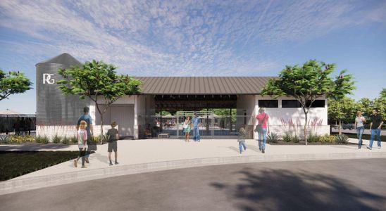 New construction Single-Family house 301 Willow Heights Dr, Hutto, TX 78634 plan Sierra - image