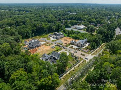 New construction Single-Family house 8022 Litaker Manor Ct, Charlotte, NC 28270 null- photo 1 1