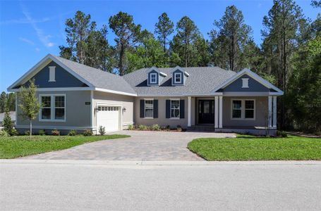 New construction Single-Family house 3030 W Bermuda Dunes Dr, Lecanto, FL 34461 - image