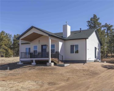 New construction Single-Family house 484 Due South Rd, Florissant, CO 80816 - image