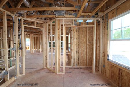 New construction Single-Family house 20264 Oriana Loop, Land O' Lakes, FL 34638 Santa Monica- photo 54 54