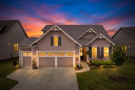 New construction Single-Family house 442 Huron Ln, Hoschton, GA 30548 - image
