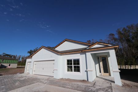 New construction Single-Family house 20339 Oriana Loop, Land O' Lakes, FL 34638 Newport II- photo 77 77