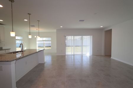 New construction Single-Family house 38350 Tobiano Loop, Dade City, FL 33525 Cabo- photo 168 168