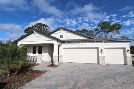 New construction Single-Family house 20219 Oriana Loop, Land O' Lakes, FL 34638 Corina  III- photo 69 69