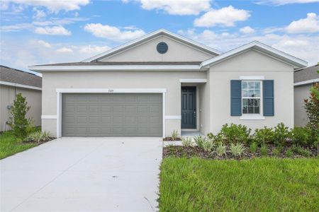 New construction Single-Family house 5315 Mickey Ave, Winter Haven, FL 33884 - image