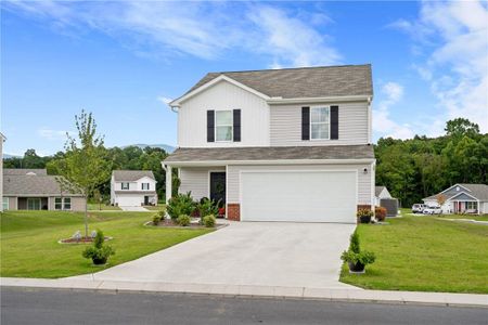 New construction Single-Family house 11 Barron Ct, Chatsworth, GA 30705 plan Auburn - image