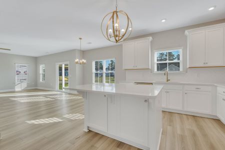 New construction Single-Family house Richmond Hill, GA 31324 plan Greybeard - image 18