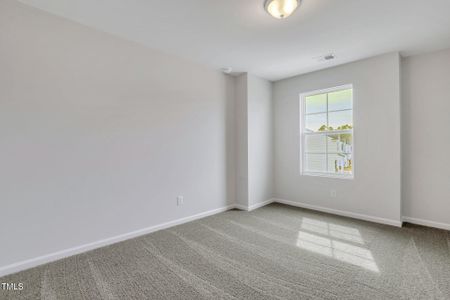 New construction Single-Family house 22 Sagamore Ave, Angier, NC 27501 plan Telfair - image 17