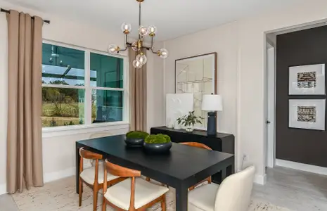 New construction Single-Family house 1703 Fallon Pass, Zephyrhills, FL 33541 plan Coral - image