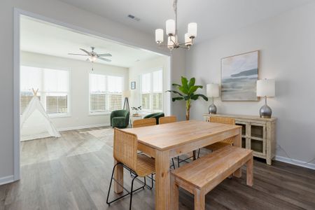 New construction Single-Family house 435 Galloping Foal Wy Se, Bolivia, NC 28422 plan Naples - image 13