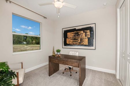 Tea Olive Terrace at the Fairways by William Ryan Homes in Palmetto - photo 28 28