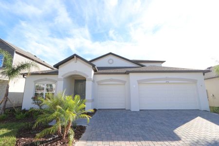 New construction Single-Family house 4774 Beachrose Way, Lakeland, FL 33811 Barcello Bonus- photo 99 99