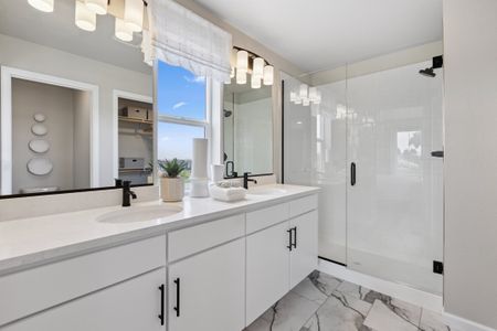 New construction Duplex house 2373 Harlequin Pl, Johnstown, CO 80534 plan Biscayne - image 5