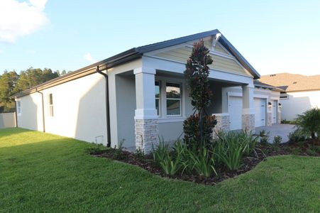 New construction Single-Family house 20112 Oriana Loop, Land O' Lakes, FL 34638 Corina  III Bonus- photo 41 41