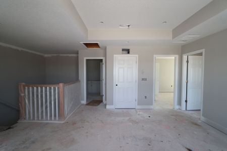 New construction Single-Family house 31236 Denham Ridge Ln, Wesley Chapel, FL 33545 Santa Monica- photo 68 68