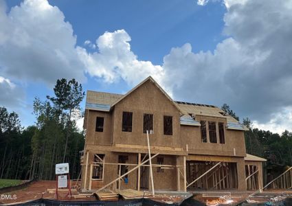 New construction Single-Family house 57 S Blue Sly Trl, Unit 49, Selma, NC 27576 - image