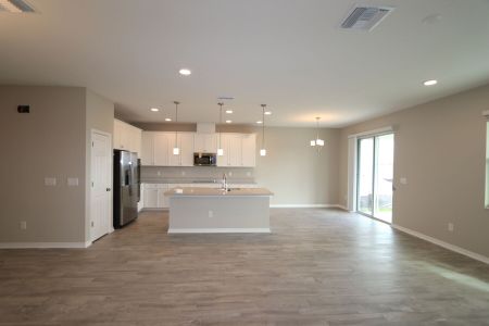 New construction Single-Family house 4774 Beachrose Way, Lakeland, FL 33811 Barcello Bonus- photo 60 60