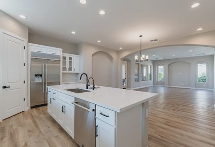 New construction Single-Family house 588 E Peach Tree St, San Tan Valley, AZ 85140 Palermo- photo 10 10