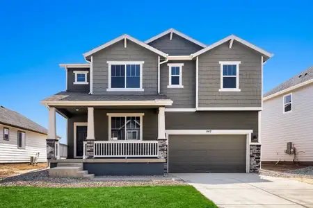 New construction Single-Family house 647 Noola St, Windsor, CO 80550 plan Willow - image