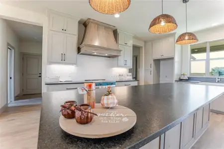 New construction Single-Family house 1033 Lilly Ln, Peaster, TX 76088 - image 3