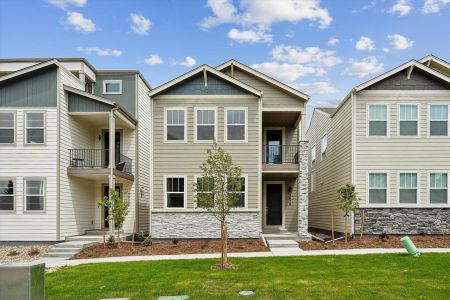 New construction Single-Family house 3059 Curly Grove, Colorado Springs, CO 80922 plan Clover - image 18
