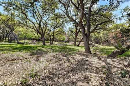 New construction Single-Family house 469 W Overlook, Canyon Lake, TX 78133 null- photo 24 24