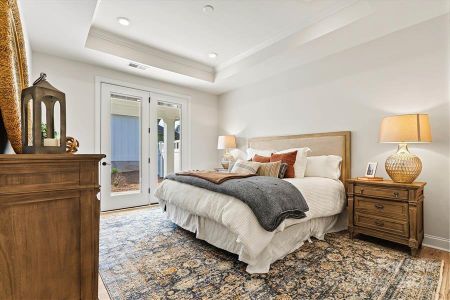 New construction Single-Family house 114 Alenda Lux Cir, Mooresville, NC 28115 plan Palazzo - image 19