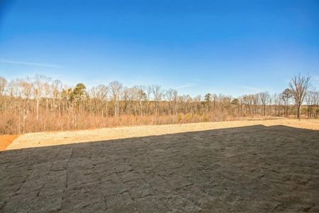 New construction Single-Family house 225 Hickory Grove Ln, Hoschton, GA 30548 Charlton- photo 29 29