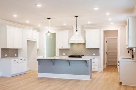 New construction Single-Family house 204 Knollwood Dr, Canton, GA 30015 - image 19