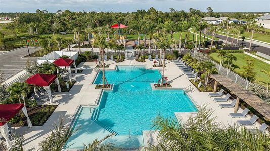 Wellen Park by Mattamy Homes in Venice - image 13