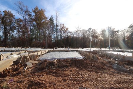 New construction Townhouse house 2454 Englemann Dr, New Hill, NC 27562 Mimosa - Interior Home - Townhome Series- photo 4 4